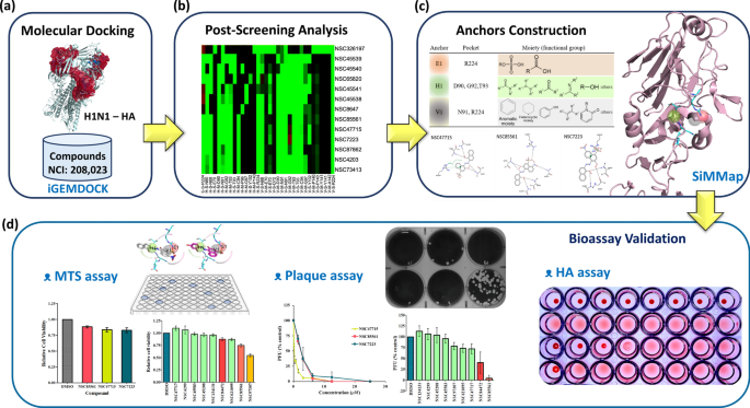 Potent Sialic Acid Inhibitors That Target Influenza A Virus Hemagglutinin Scientific Reports