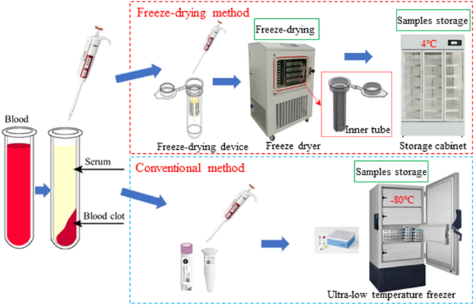 Freeze Dryer - Using Methods and Precautions - Drawell