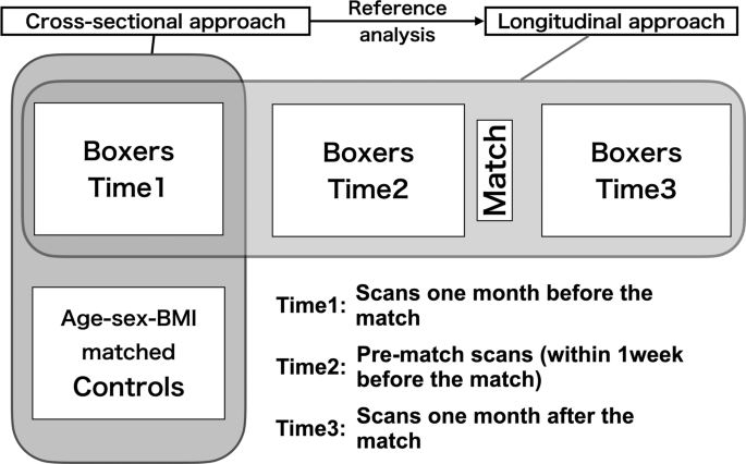 Enhanced structural connectivity within the motor loop in professional boxers prior to a match Scientific Reports