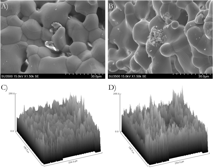 Surface Modified B Tricalcium Phosphate Enhanced Stem Cell Osteogenic Differentiation In Vitro And Bone Regeneration In Vivo Scientific Reports
