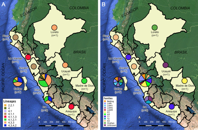 Whole genome analysis of extensively drug resistant mycobacterium tuberculosis strains in peru