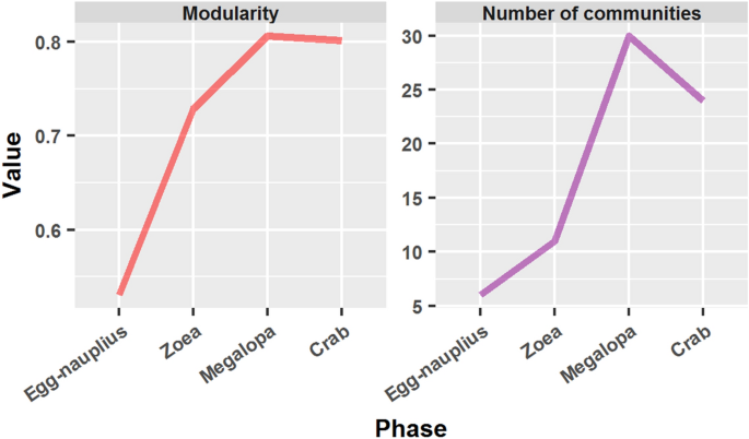 A network analysis of crab metamorphosis and the hypothesis of development  as a process of unfolding of an intensive complexity