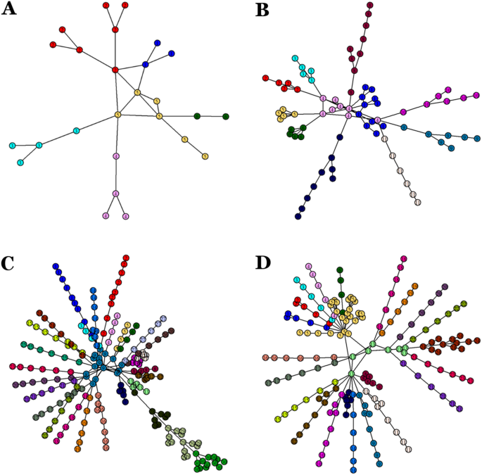 A network analysis of crab metamorphosis and the hypothesis of development  as a process of unfolding of an intensive complexity