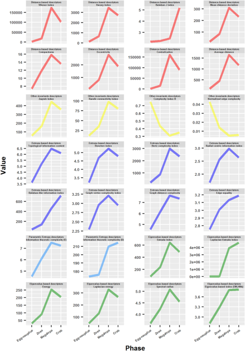 A network analysis of crab metamorphosis and the hypothesis of development  as a process of unfolding of an intensive complexity