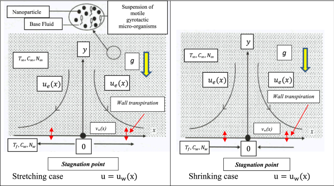 Numerical study of nano-biofilm stagnation flow from a nonlinear stretching/shrinking surface with variable nanofluid and bioconvection transport prop