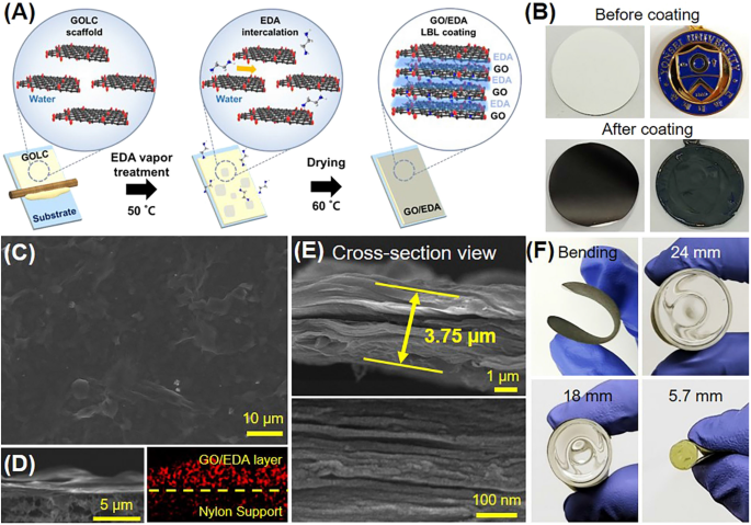 Diamine Vapor Treatment Of Viscoelastic Graphene Oxide Liquid Crystal For Gas Barrier Coating Scientific Reports