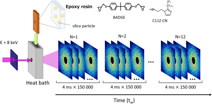 Heterogeneous dynamics in the curing process of epoxy resins