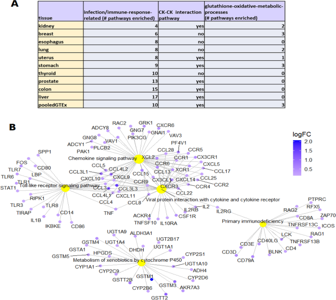 glutathione treatment african americans African Americans and European Americans exhibit distinct gene expression  patterns across tissues and tumors associated with immunologic functions  and environmental exposures