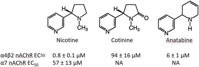 Differential Effects Of Alkaloids On Memory In Rodents Scientific Reports Differential Effects Of Alkaloids On Memory In Rodents Scientific Reports