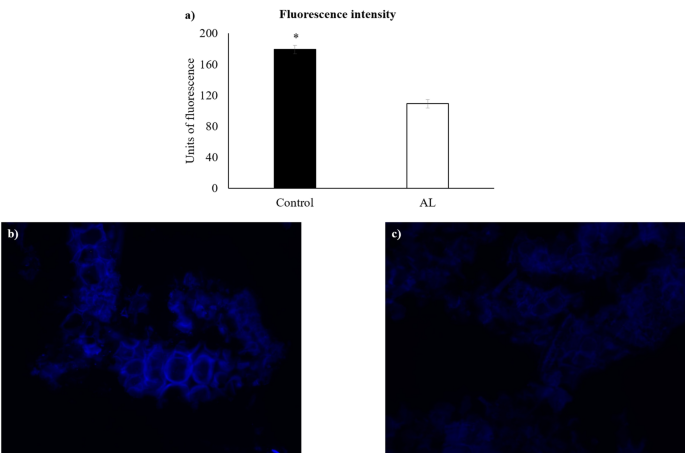 An individual alginate lyase is effective in the disruption of laminaria digitata recalcitrant cell wall