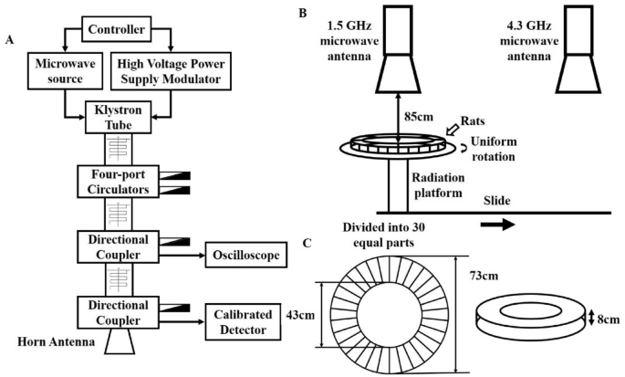 Effects of 1.5 and 4.3 GHz microwave radiation on cognitive function and  hippocampal tissue structure in Wistar rats | Scientific Reports