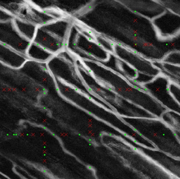 Which of These Analysis Methods Describes Neural Computing 