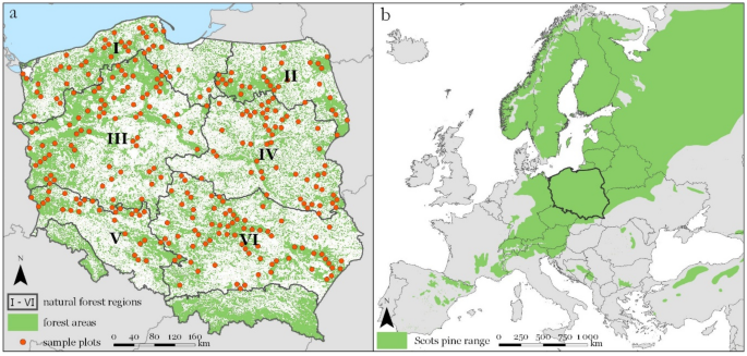 A Map That Highlights Differences In Height Regional Height Growth Models For Scots Pine In Poland | Scientific Reports