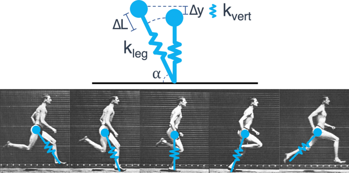 The impact of speed on running economy