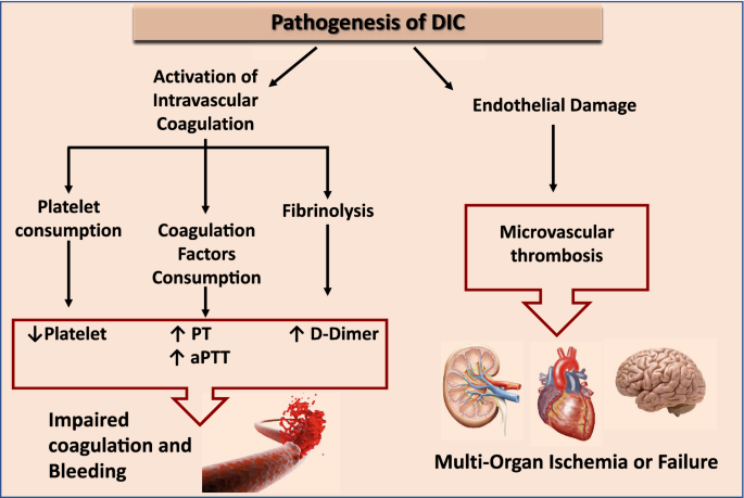 Differences in coagulopathy indices in patients with severe versus 