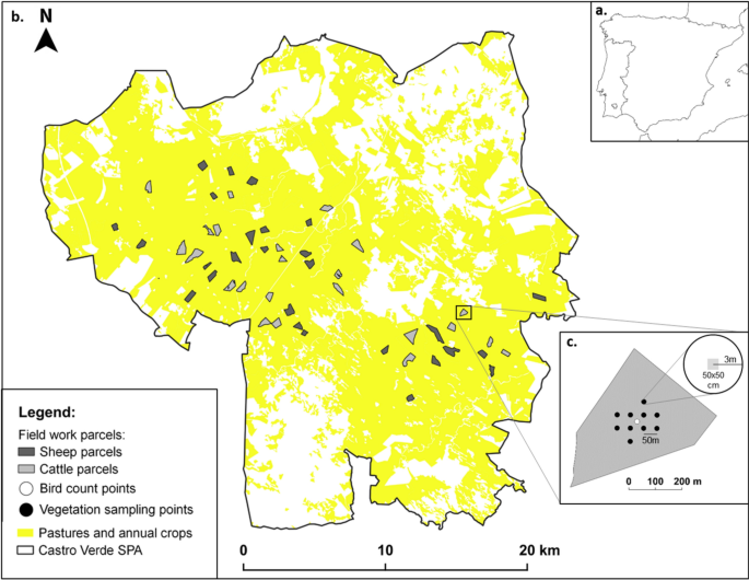 Impacts Of Sheep Versus Cattle Livestock Systems On Birds Of Mediterranean Grasslands Scientific Reports