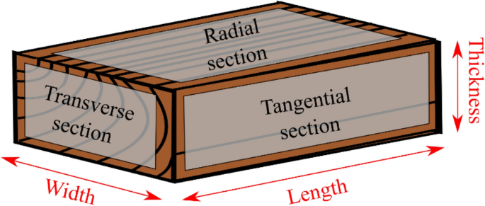 A novel method for dendrochronology of large historical wooden objects using line trajectory X-ray tomography - Scientific Reports