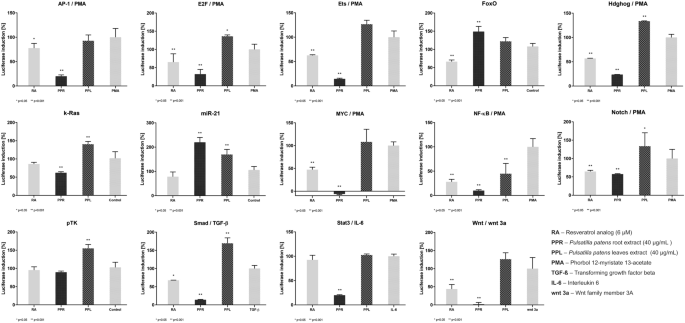 Extracts From Pulsatilla Patens Target Cancer Related Signaling Pathways In Hela Cells Scientific Reports