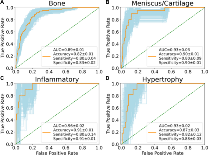 Deep learning for large scale MRI-based morphological phenotyping 