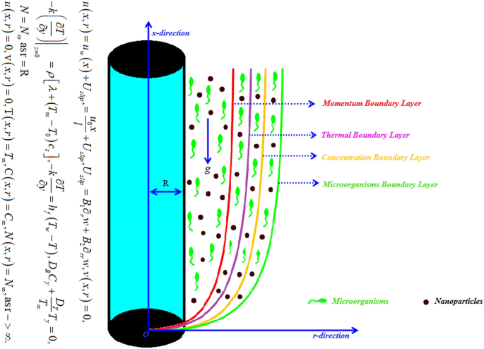 Second Order Slip Effect On Bio Convectional Viscoelastic Nanofluid Flow Through A Stretching Cylinder With Swimming Microorganisms And Melting Phenomenon Scientific Reports Second Order Slip Effect On Bio Convectional Viscoelastic Nanofluid Flow Through A Stretching Cylinder With Swimming Microorganisms And Melting Phenomenon Scientific Reports