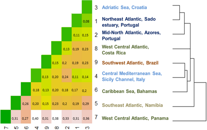 Dissimilarity components among Brazilian marine sub-provinces. Three