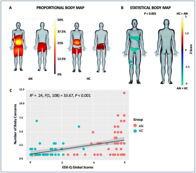 Visual mapping of body image disturbance in anorexia nervosa reveals  objective markers of illness severity | Scientific Reports