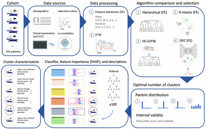 Classification Analysis for Cluster Group Membership