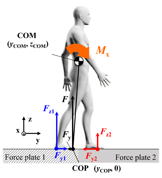 Effect of foot–floor friction on the external moment about the