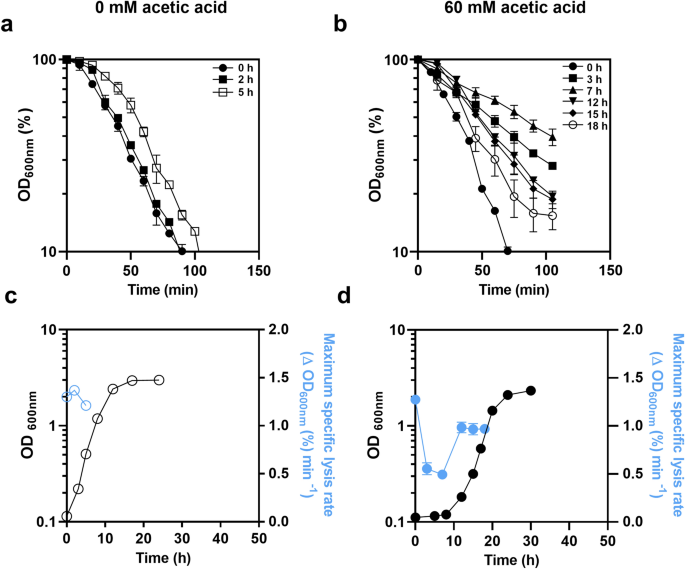Yeast Adaptive Response To Acetic Acid Stress Involves Structural Alterations And Increased Stiffness Of The Cell Wall Scientific Reports