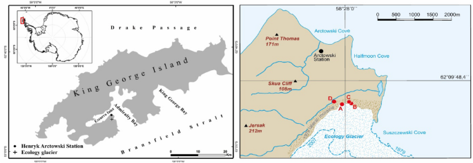 Influence Of Prokaryotic Microorganisms On Initial Soil Formation Along A Glacier Forefield On King George Island Maritime Antarctica Scientific Reports