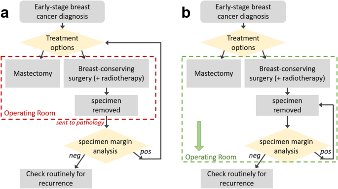 4 Applied Anatomy and Breast Aesthetics: Definition and Assessment