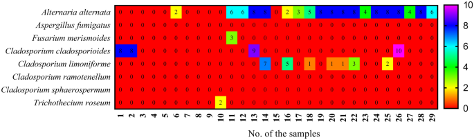 Morphological Molecular Characterization Plant Pathogenicity And Biocontrol Of Cladosporium Complex Groups Associated With Faba Beans Scientific Reports