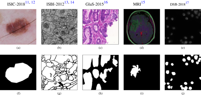 Multi-level dilated residual network for biomedical image segmentation | Scientific Reports