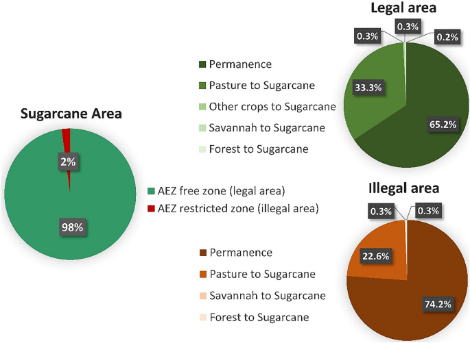 PDF) Brazil of Biofuels – sugarcane 2009. Impacts of crops on land,  environment and society