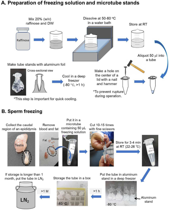 Easy and quick (EQ) sperm freezing method for urgent preservation