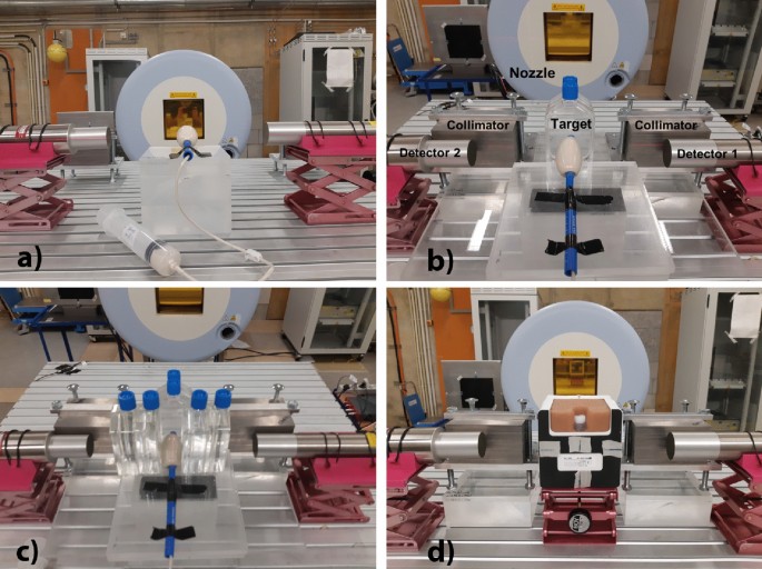 Towards real-time pgs range monitoring in proton therapy of prostate cancer