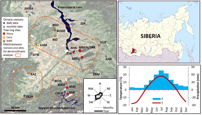 Climate Change And Tree Growth In The Khakass Minusinsk Depression South Siberia Impacted By Large Water Reservoirs Scientific Reports