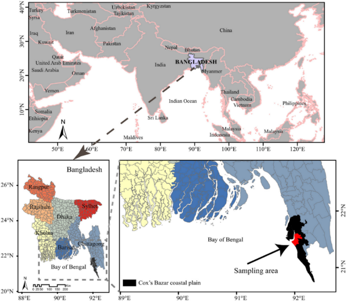 Levels And Health Risk Assessment Of Heavy Metals In Dried Fish Consumed In Bangladesh Scientific Reports Levels And Health Risk Assessment Of Heavy Metals In Dried Fish Consumed In Bangladesh Scientific Reports