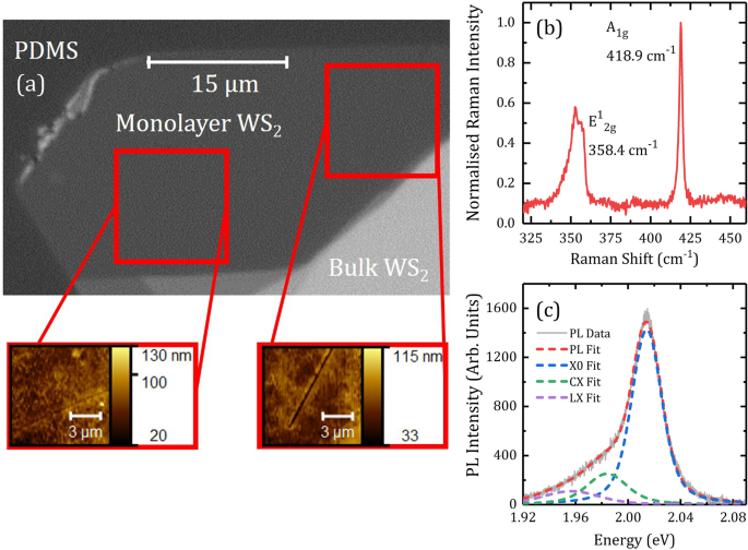 Enhancing And Quantifying Spatial Homogeneity In Monolayer Ws2 Scientific Reports