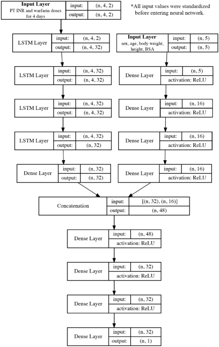 Development of a system to support warfarin dose decisions using deep  neural networks | Scientific Reports
