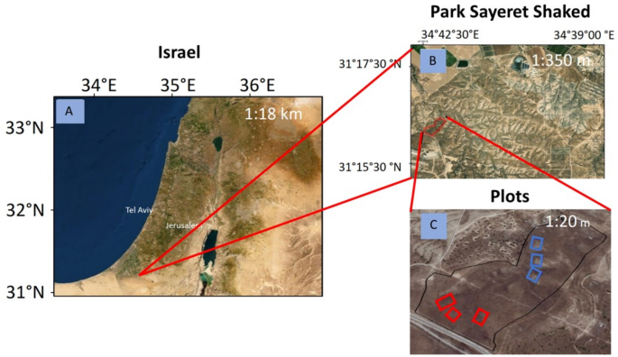 Geodiversity Impacts Plant Community Structure In A Semi Arid Region Scientific Reports Geodiversity Impacts Plant Community Structure In A Semi Arid Region Scientific Reports