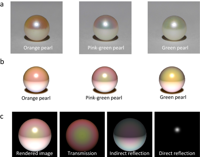Structural colors of pearls | Scientific Reports