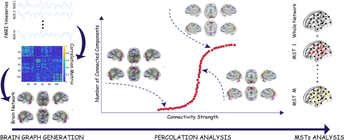 The unbalanced reorganization of weaker functional connections induces the  altered brain network topology in schizophrenia