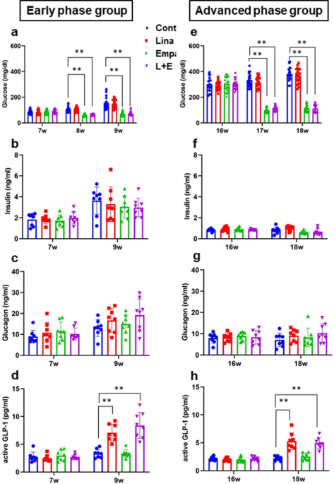 Early Combination Therapy Of Empagliflozin And Linagliptin Exerts Beneficial Effects On Pancreatic B Cells In Diabetic Db Db Mice Scientific Reports