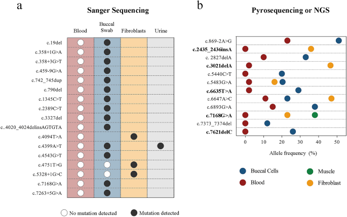 Mosaic CREBBP mutation causes overlapping clinical features of