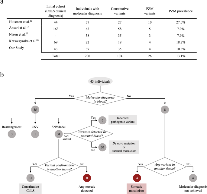 Mosaic CREBBP mutation causes overlapping clinical features of