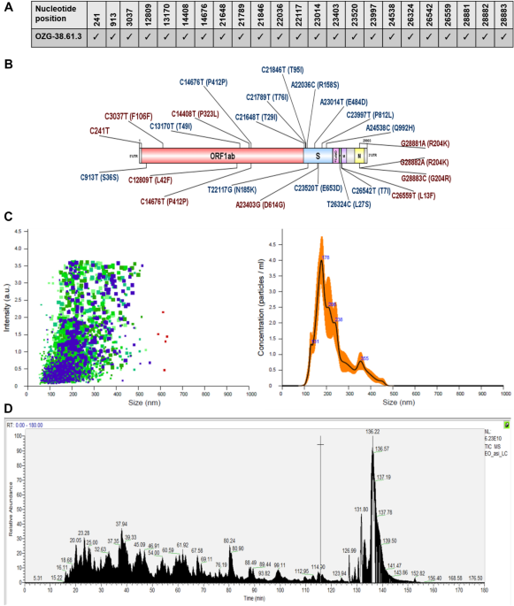 Gamma-irradiated SARS-CoV-2 va...