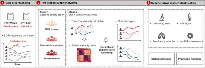 Identifying organ dysfunction trajectory-based subphenotypes in critically  ill patients with COVID-19 | Scientific Reports