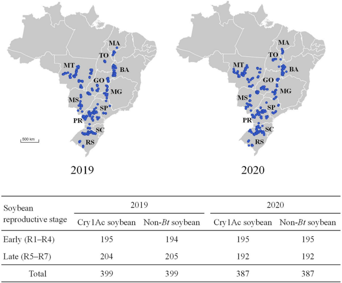 Large-scale assessment of lepidopteran soybean pests and efficacy of cry1ac soybean in brazil