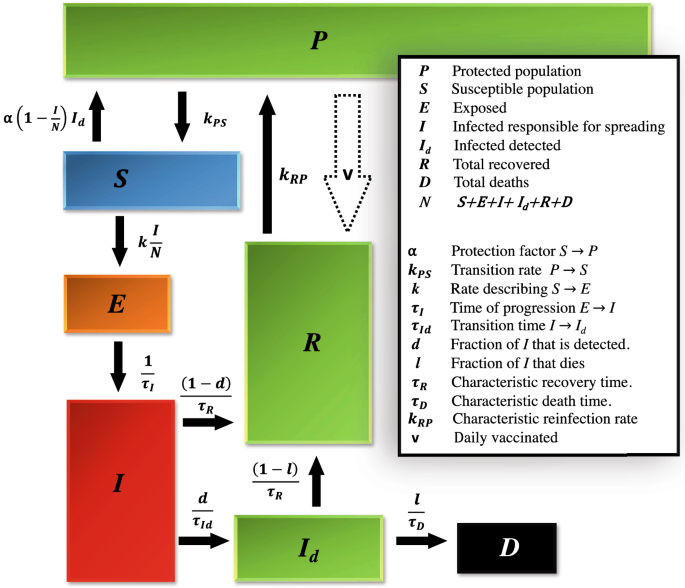 A differential equations model...